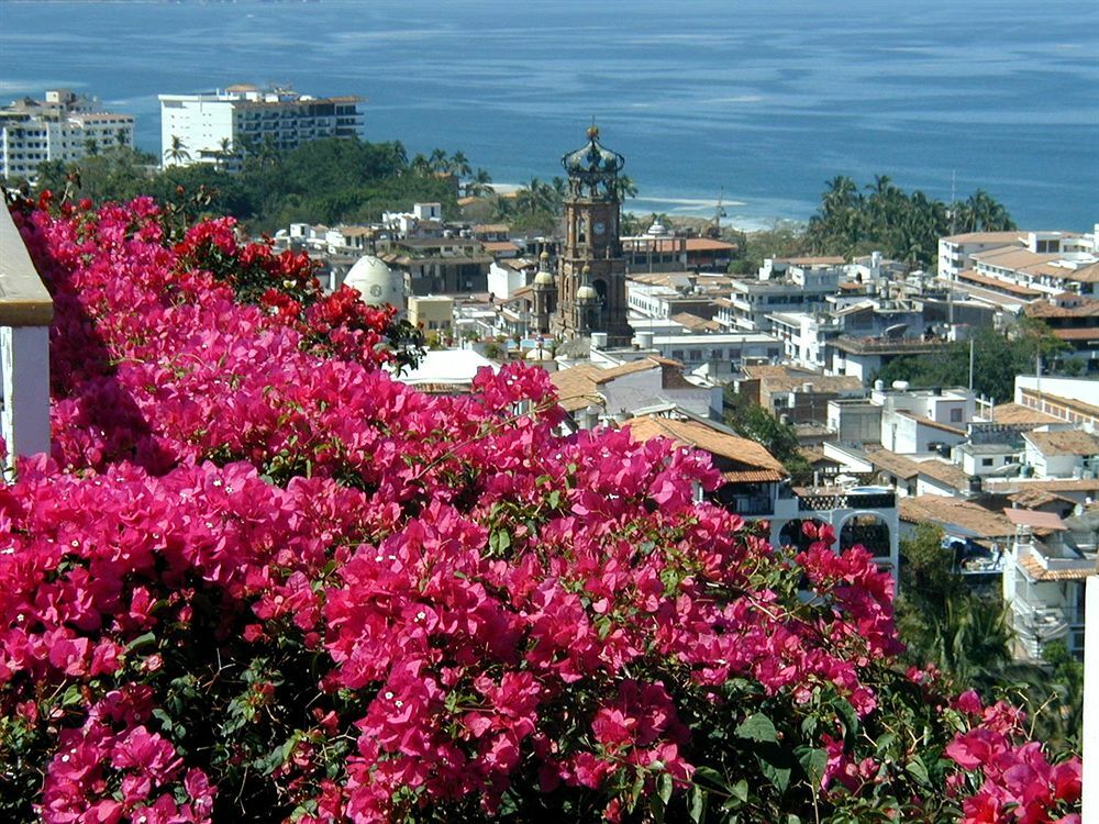 Hotel Suites La Siesta Puerto Vallarta Kültér fotó