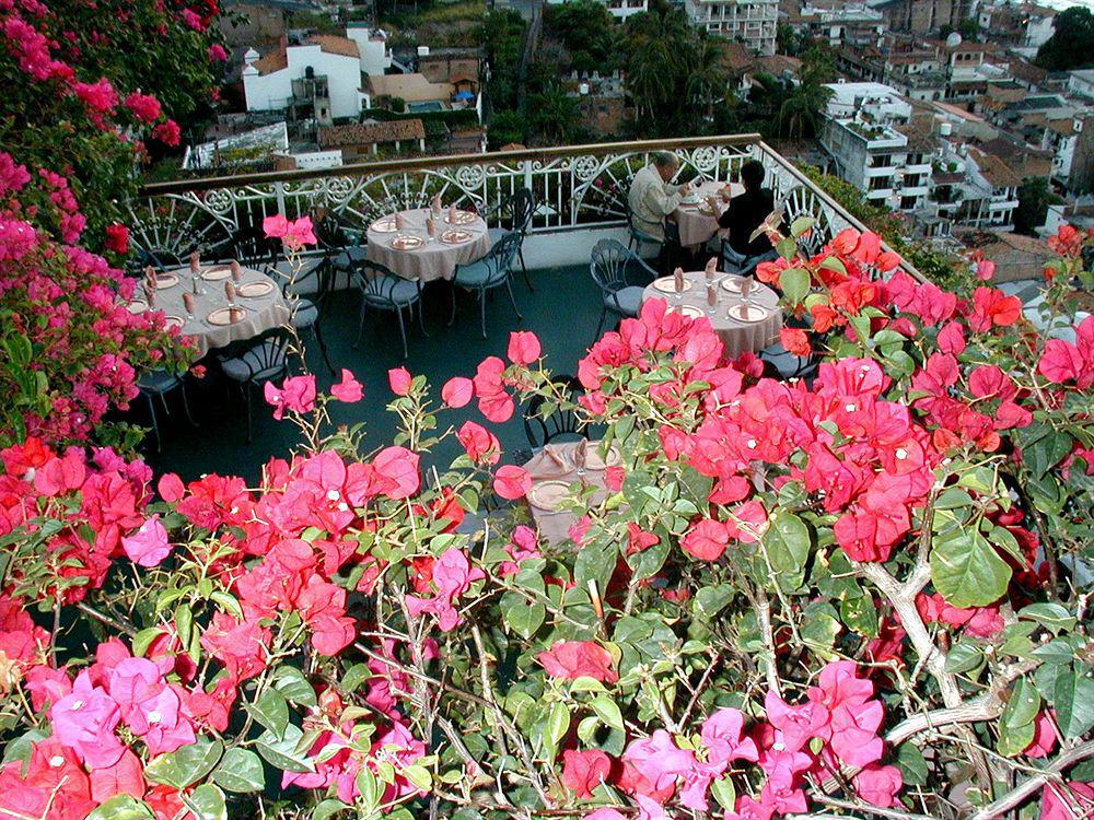 Hotel Suites La Siesta Puerto Vallarta Kültér fotó